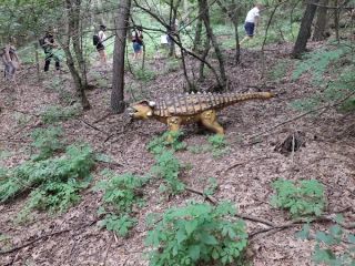 A fényképet készítette: Zsolt Zagyva