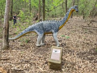 A fényképet készítette: Nikoletta Duhaj