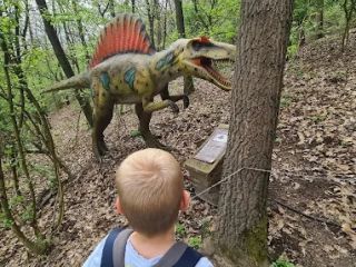 A fényképet készítette: Nikoletta Duhaj